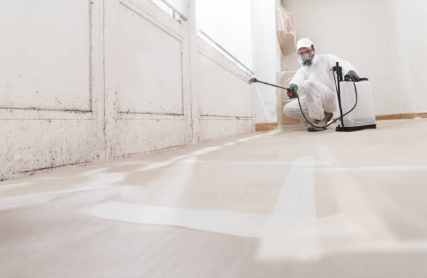 24/7 Emergency Mold Cleanup experts in Herndon, VA