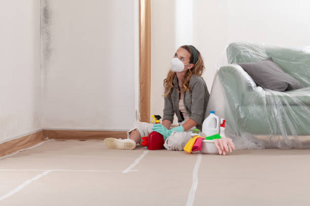Reliable Mold Cleanup contractor in Herndon, VA by WQB Mold Removal
